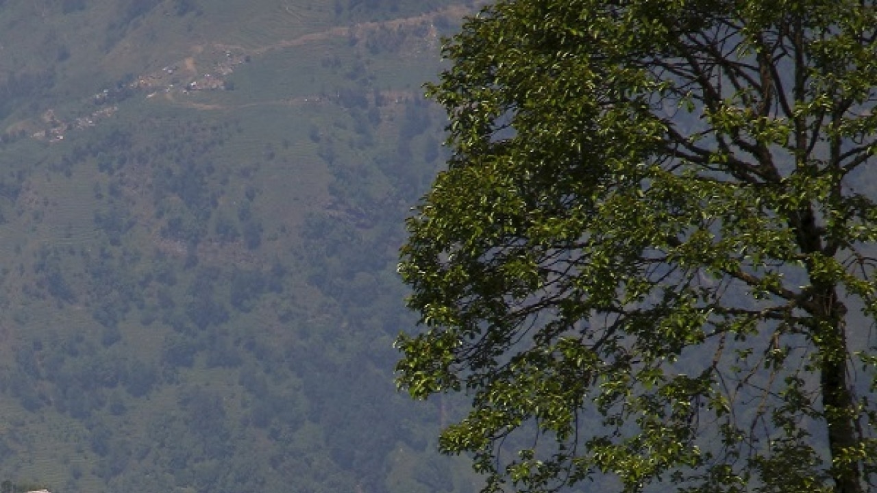 New documentary reveals horrors of nepal's caste system