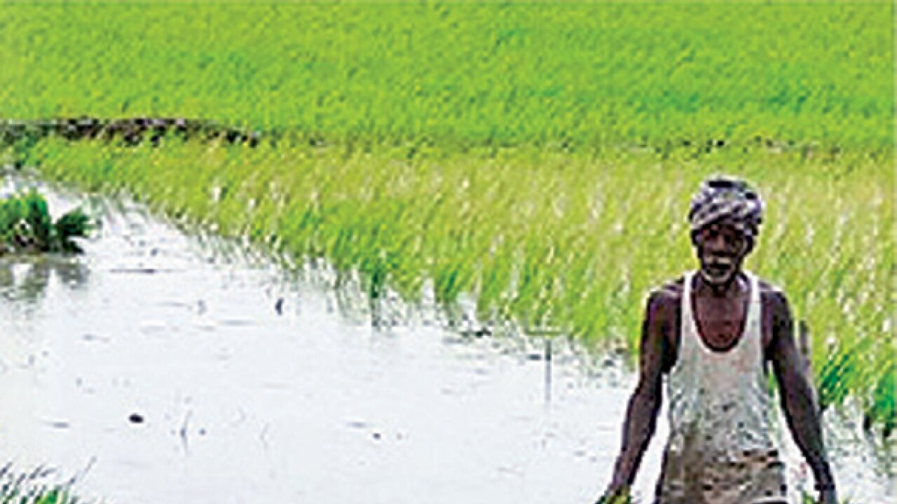Farm, services shadow on gdp growth