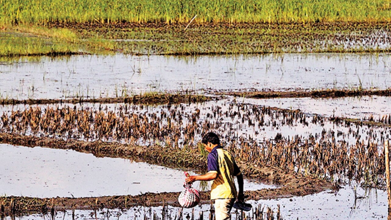 Jammu and Kashmir farmers get Rs 47 cheque as compensation for crop loss