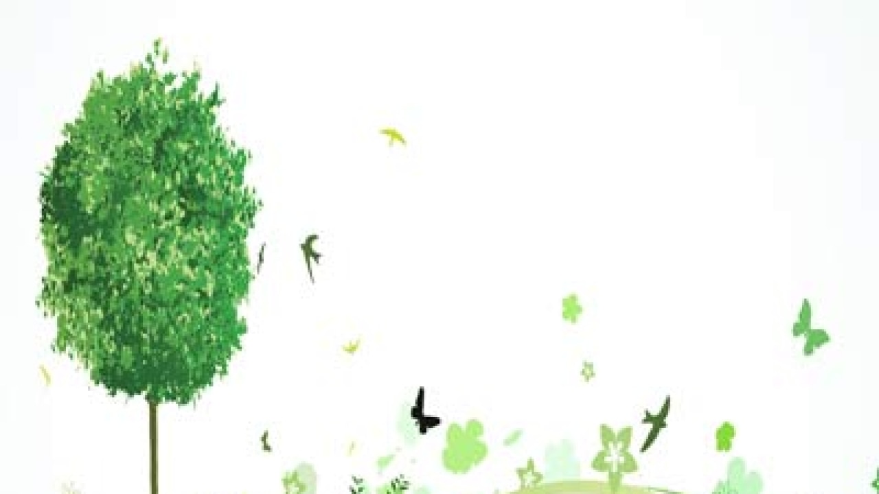 Thane Municipal Corporation starts campaign to increase green cover