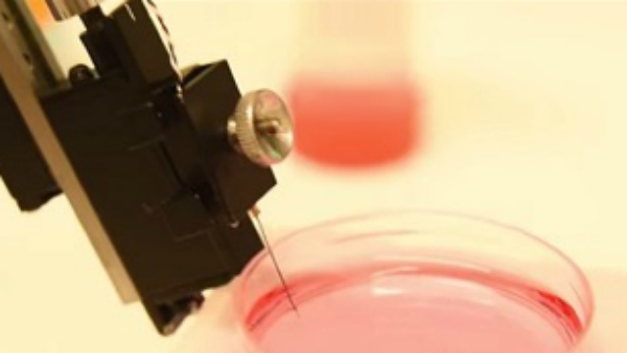 Scientists create artificial neuron that mimics human cells