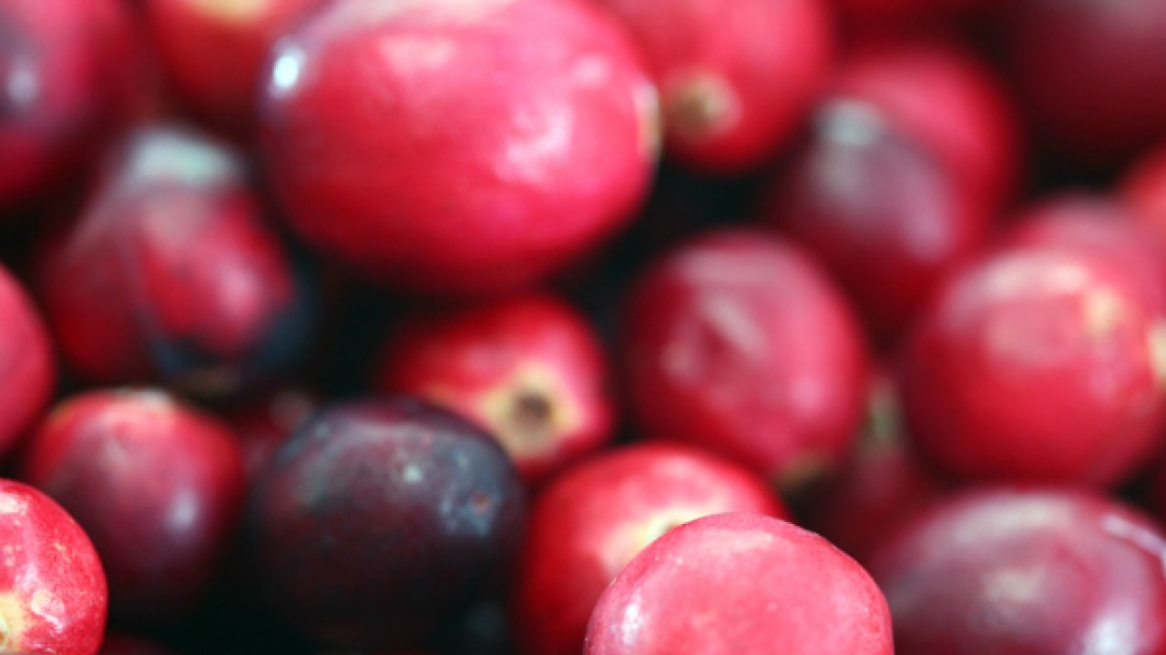 Drink cranberry juice to keep heart disease, diabetes at bay New Study
