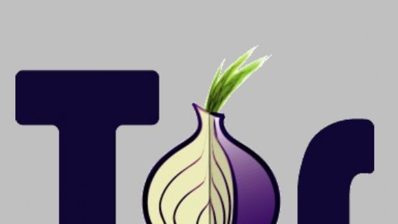 what is tor onion