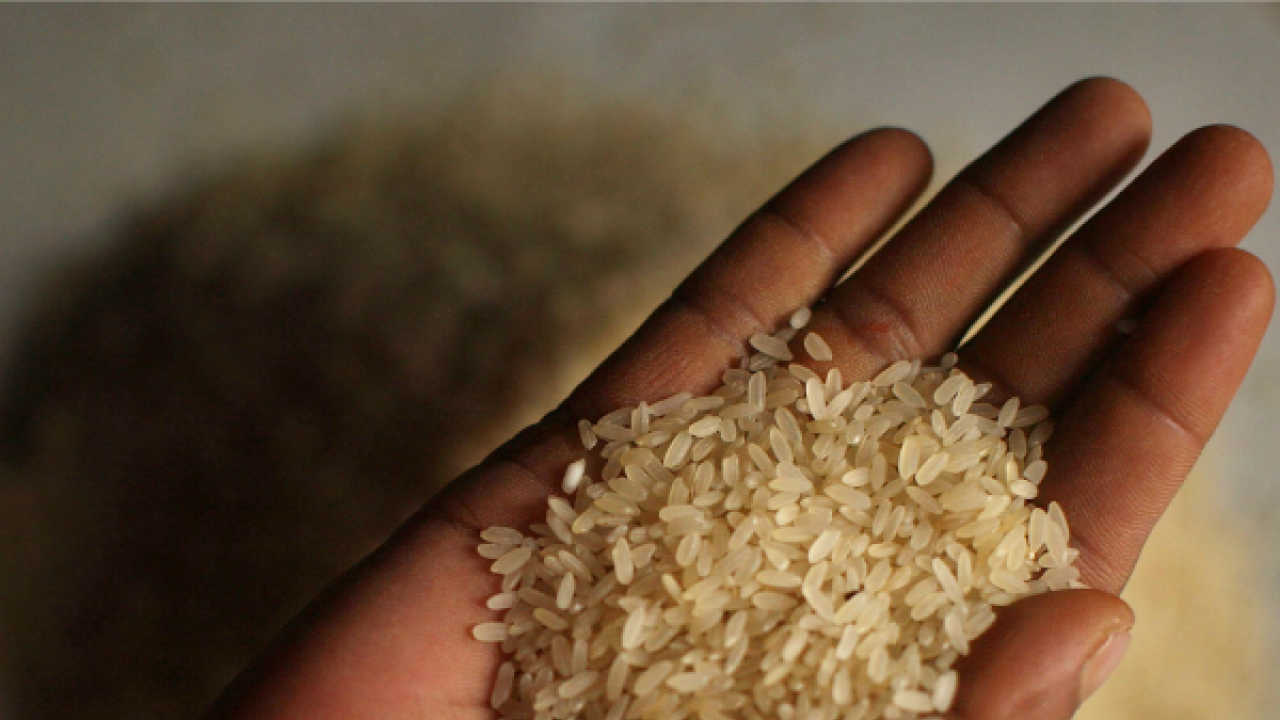 Government aims to procure millions of tons of rice