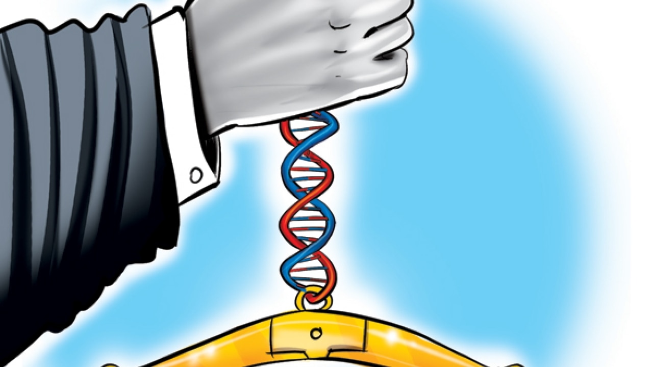 variable-number-tandem-repeats-general-biology-at-bcc