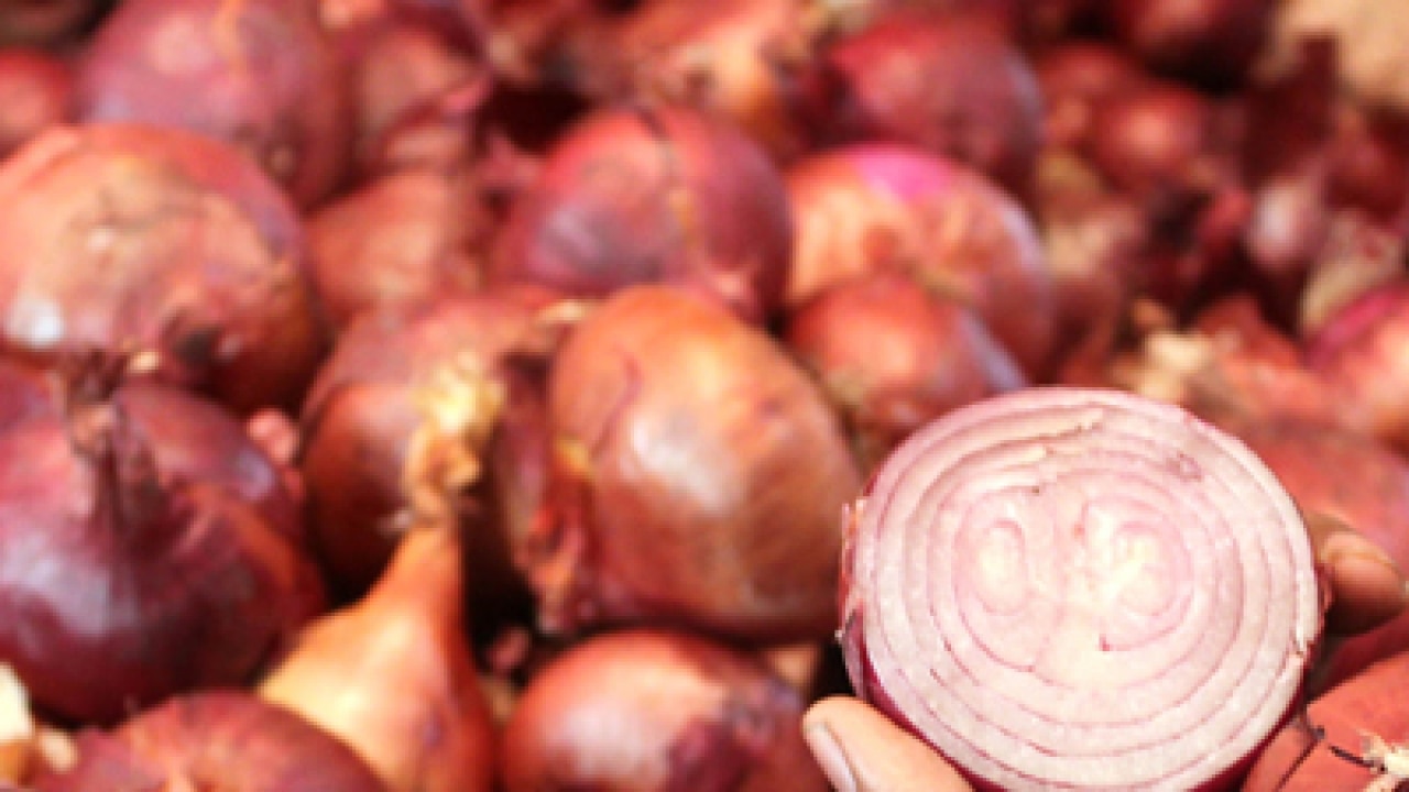 Buy onions from farmers directly, experts tell government