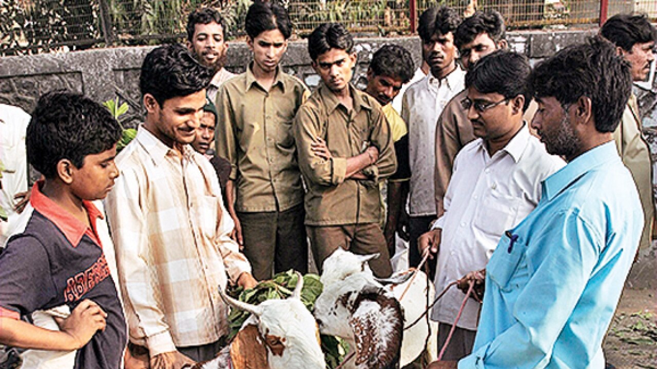 Meat ban is against fundamental right of choice of food, say Muslims
