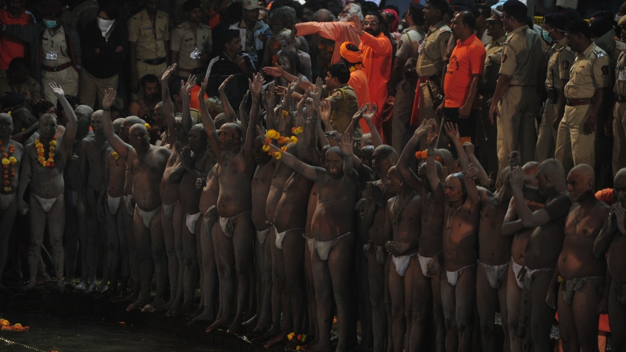 Dread, bath and beyond at the 2015 Kumbh Mela