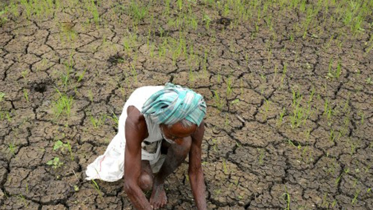 This Is The Worst Drought In The History Of Marathwada Atul Deulgaonkar 8175