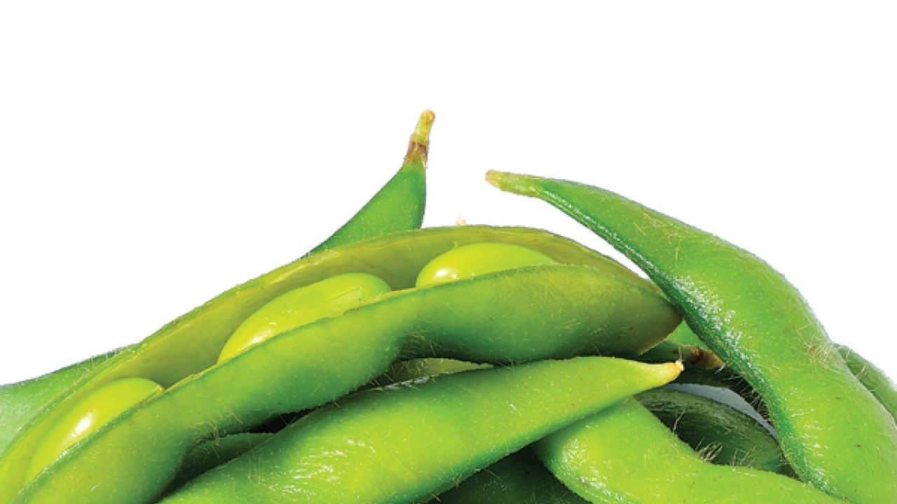 Hop on the edamame trail