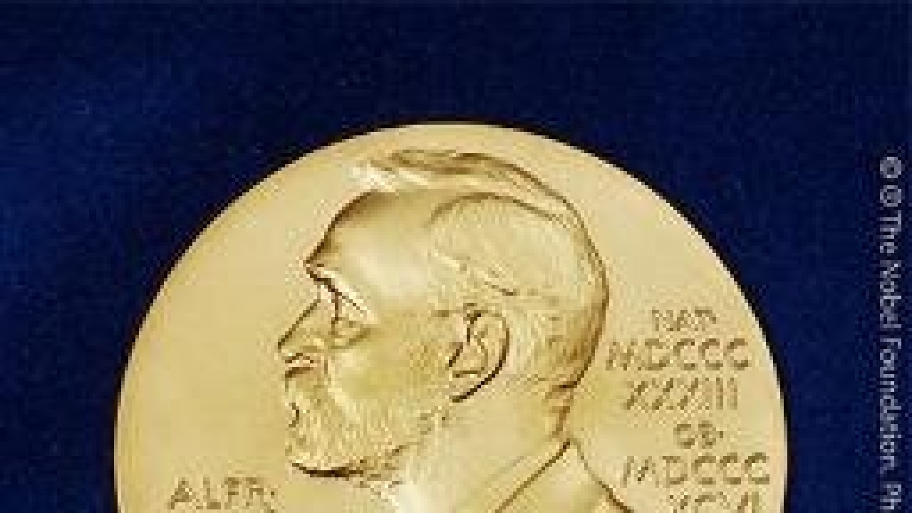 essay on nobel prize in chemistry