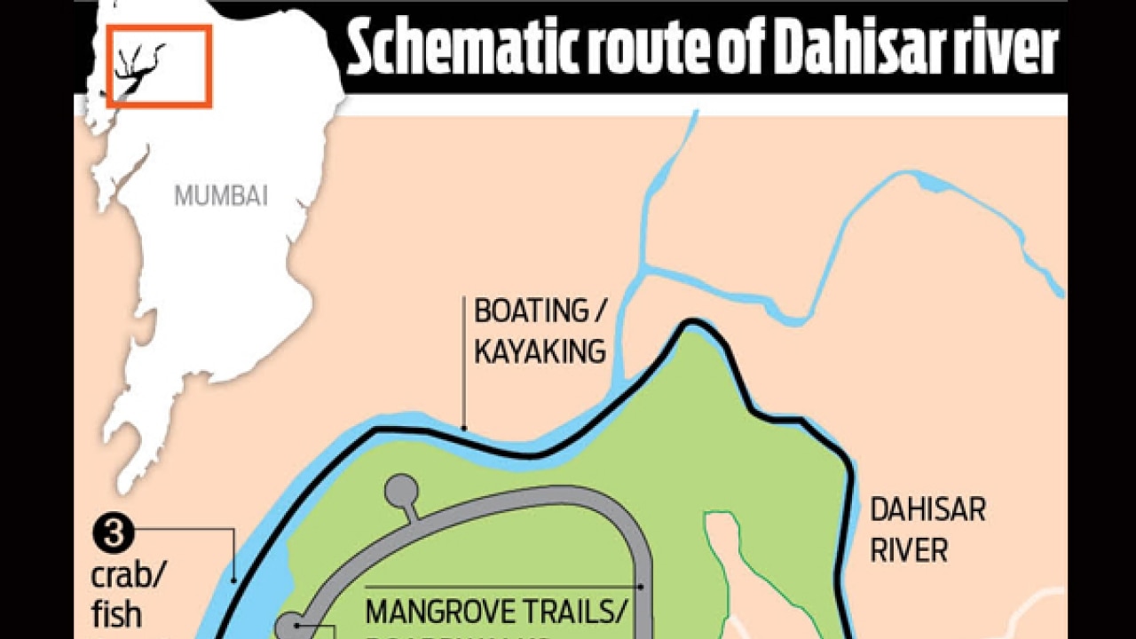 Mumbai may get its first mangrove park if Dahisar river is revived
