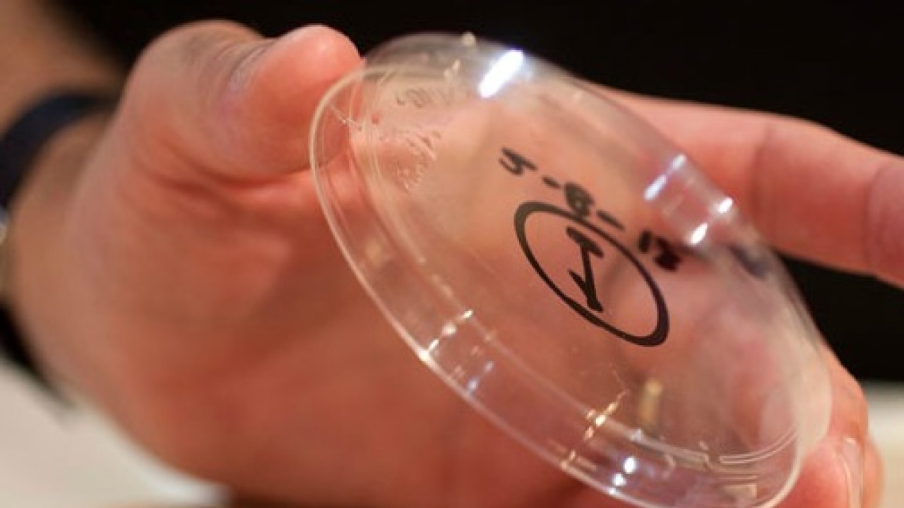 Labgrown meat burger may hit stores in five years