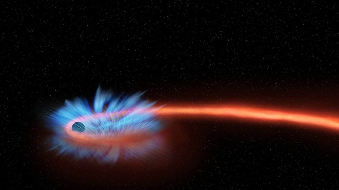 NASA animation shows how a black hole decimates a star that gets too close