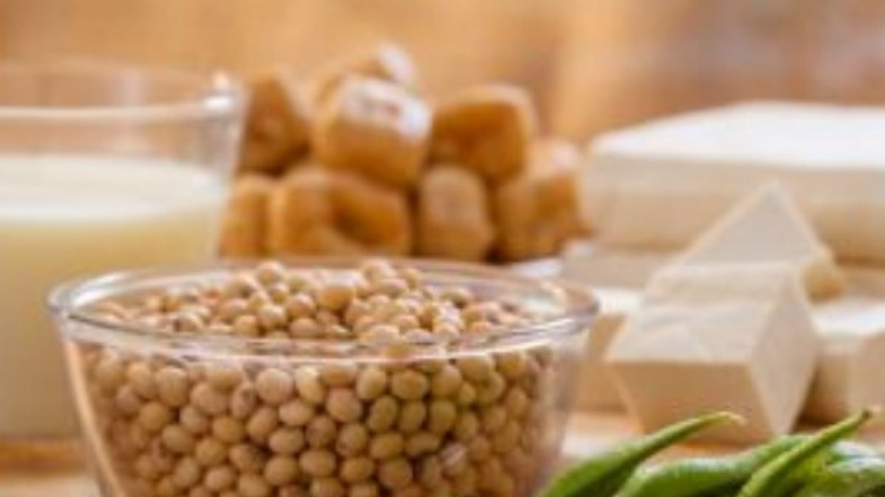 Premenopausal women advised to eat soyrich foods