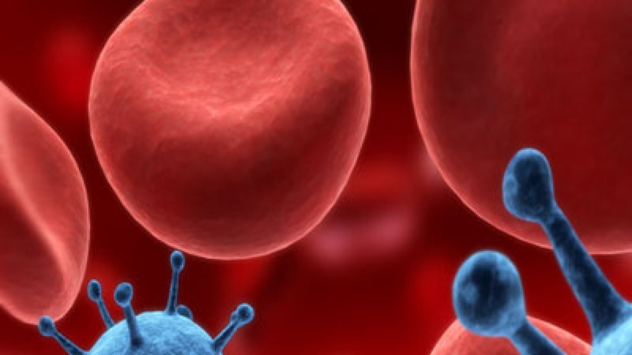 Tomatoes new hope to fight cancer?