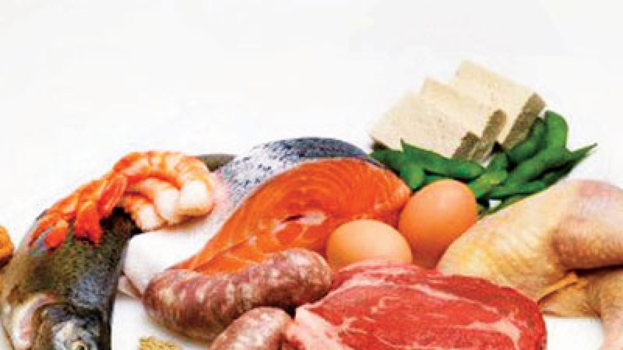 High-fat diet may be harmful to your brain