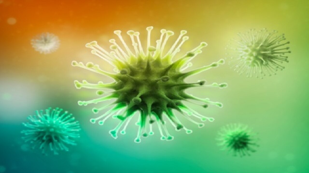 10 Virus Penyebab Penyakit Pada Tumbuhan Beserta Gejala Yang
