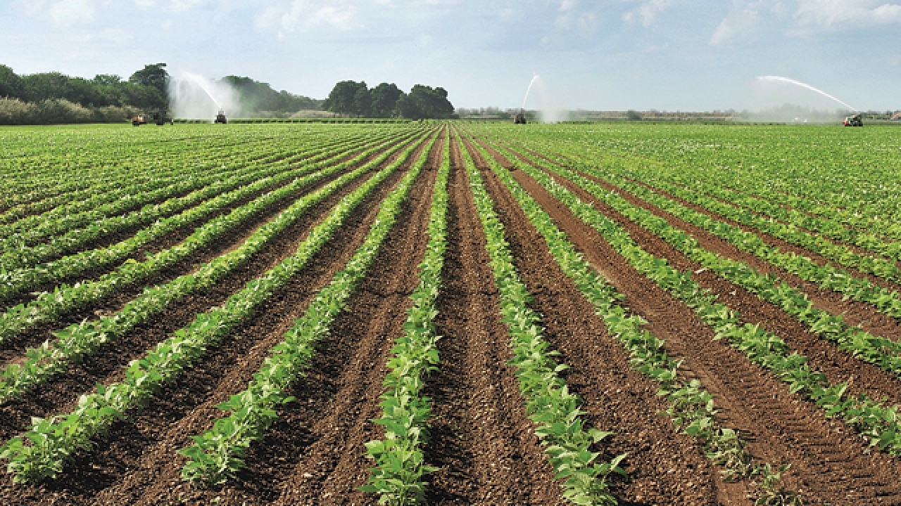 Image result for China Launches Fund Backing Loans to Farms