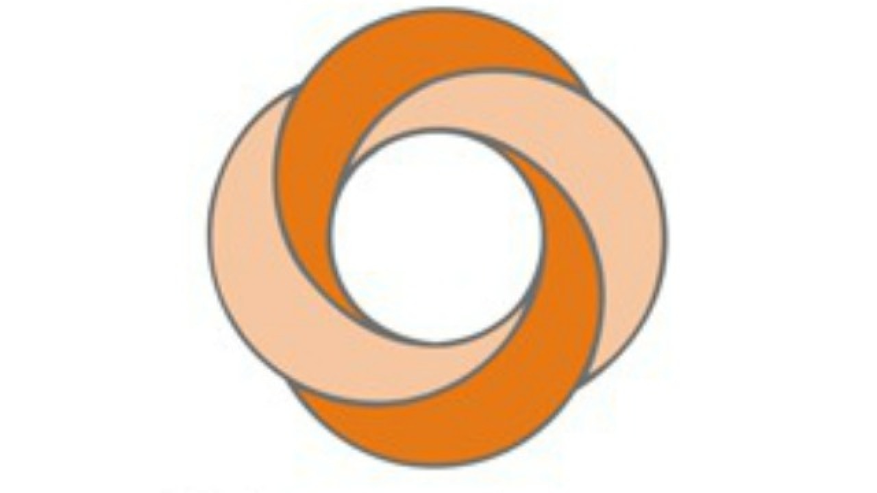 Sun pharma raises rs 1,000 cr via ncds