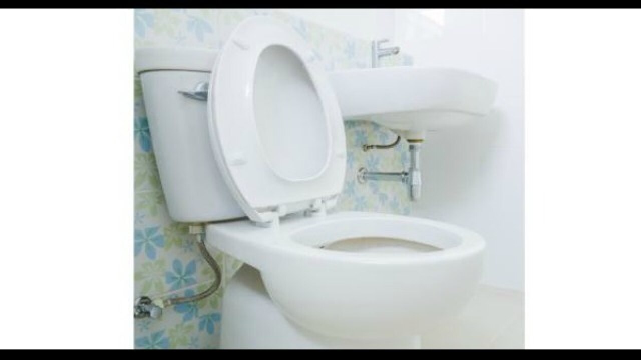 Netas demand toilets for commercial establishments in buildings