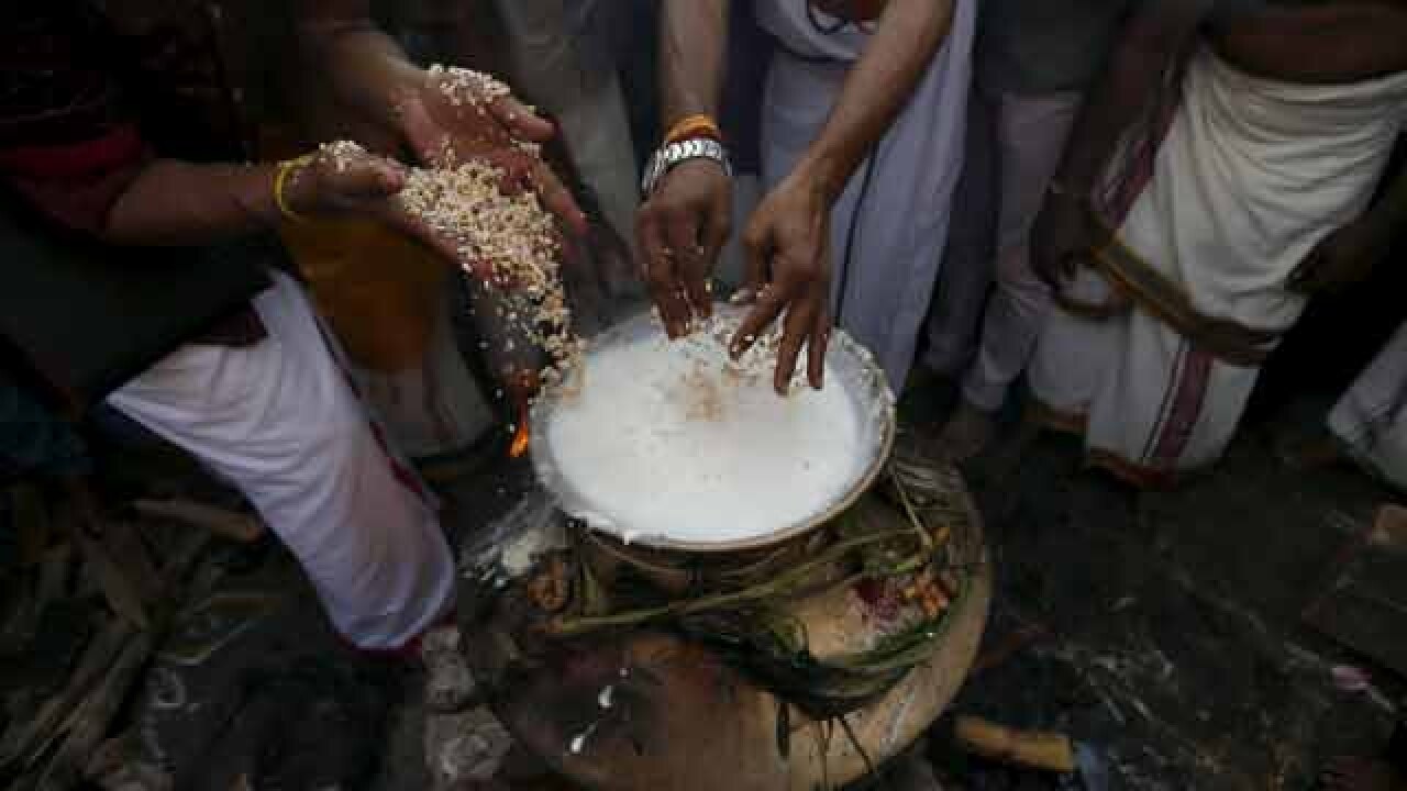 Priests cook pongal