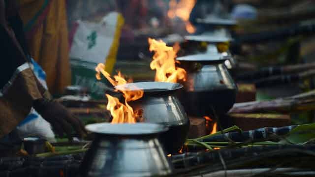 Devotees prepare pongal on opne fires