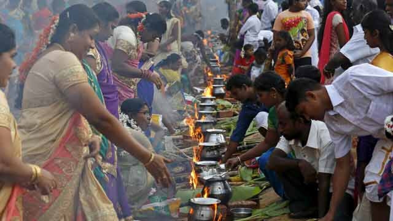 Devotees prepare pongal to offer to Sun God