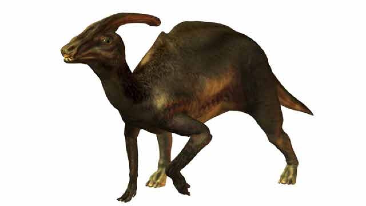 New 83millionyearold, duckbilled dinosaur species identified in US