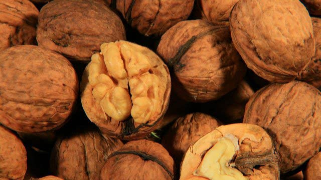 Add walnuts to your diet to improve cholesterol levels finds new study