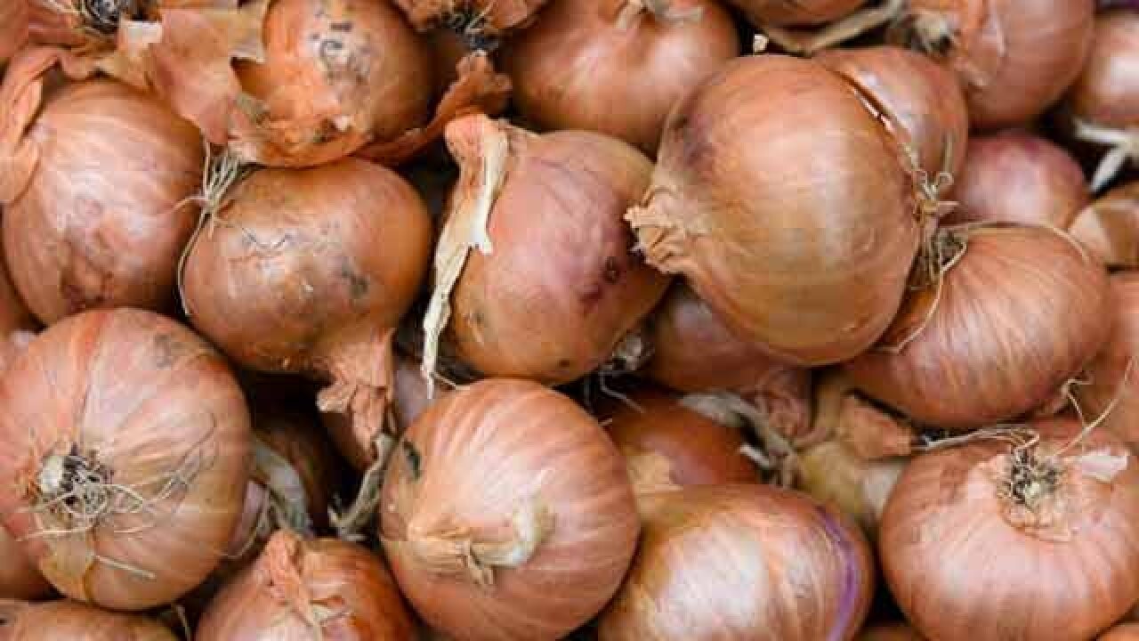 Now, onions cost Rs 7 per kg at wholesale market