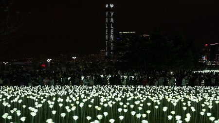 25,000 LED roses illuminate Hong Kong on Valentine's Day