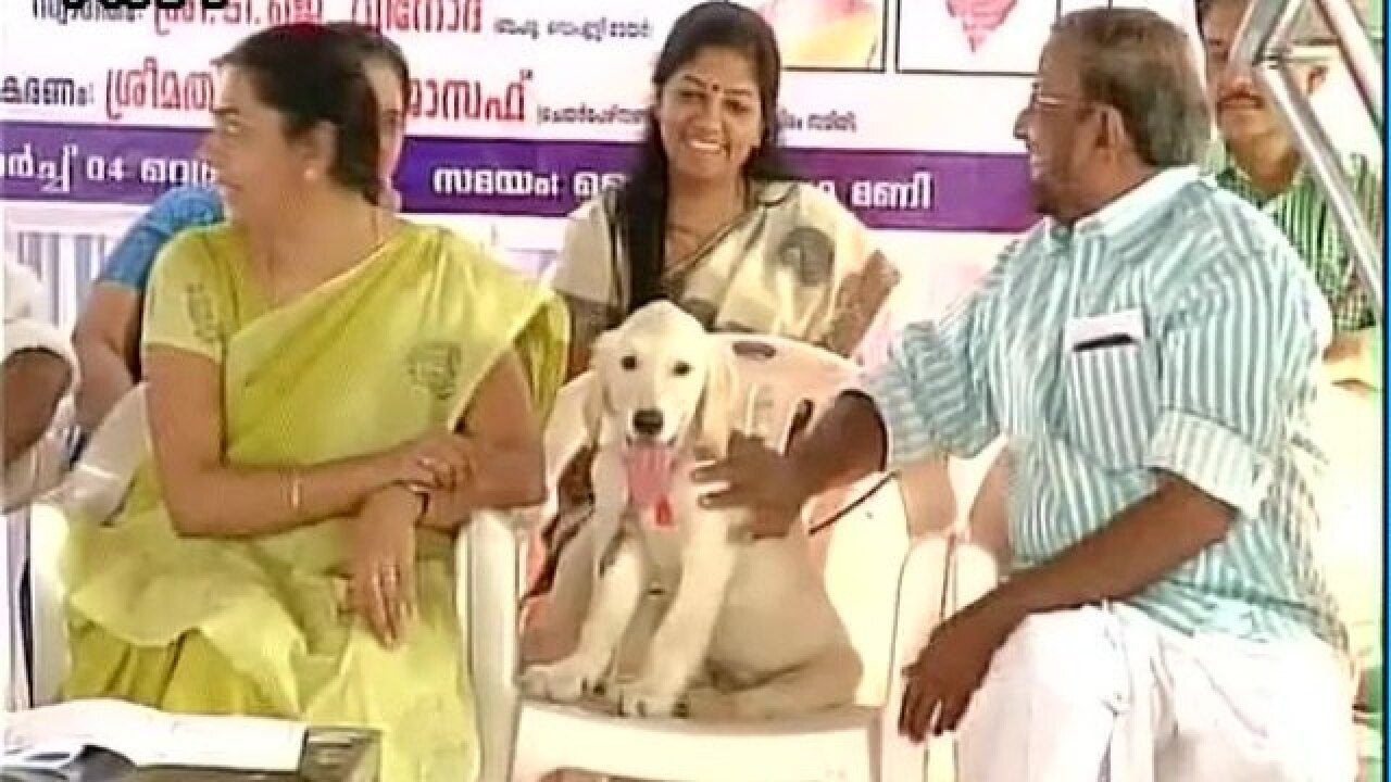 Kochi corporation to fit 'microchips' on pet dogs