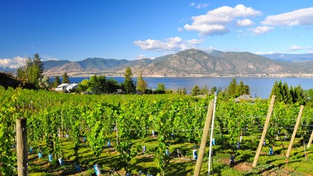 Okanagan Valley, British Columbia