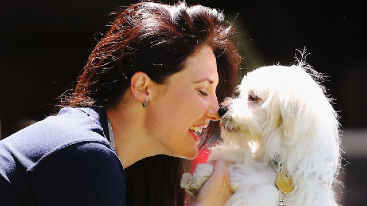 US companies offer employees leave for proper pet bereavement