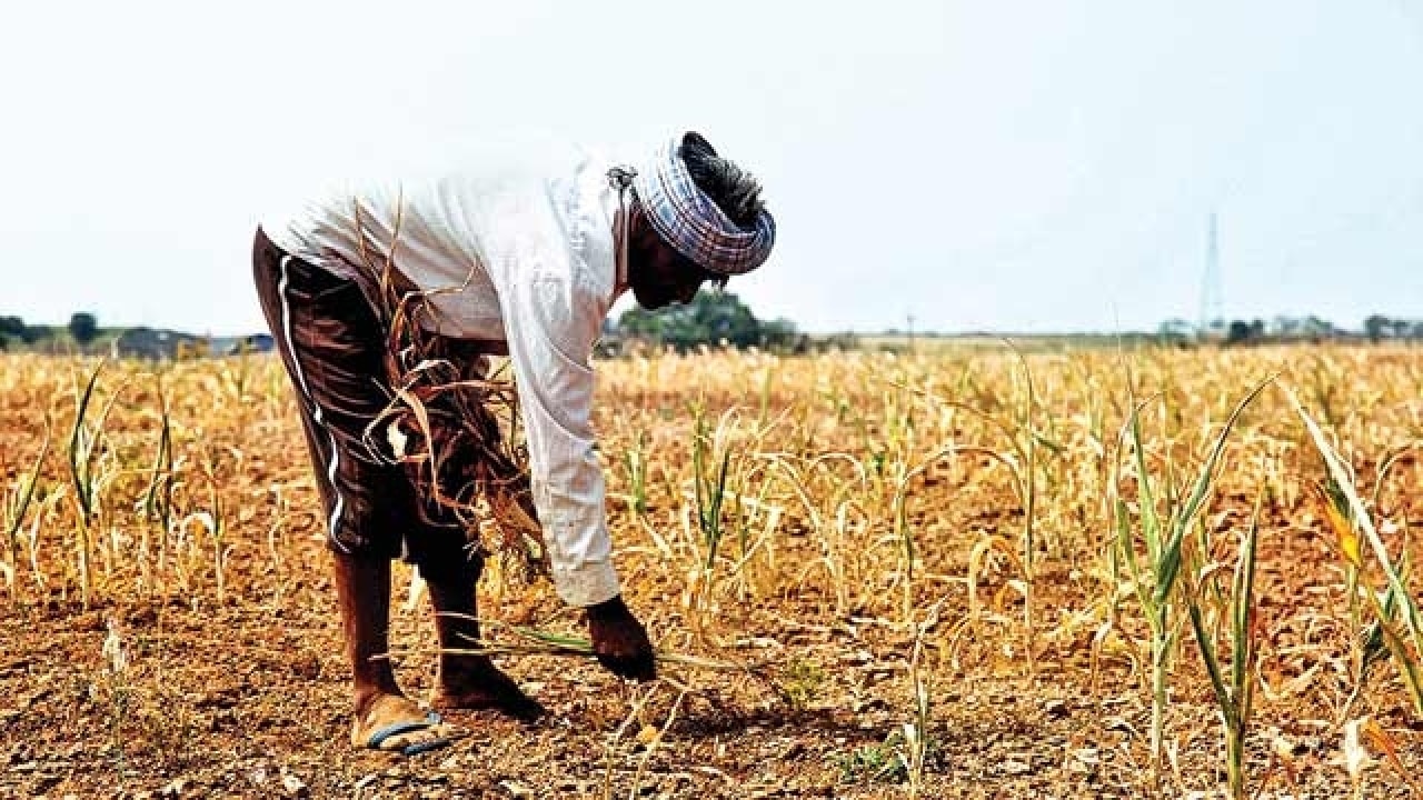 Maharashtra drought-impact: Agricultural sector to decline ...