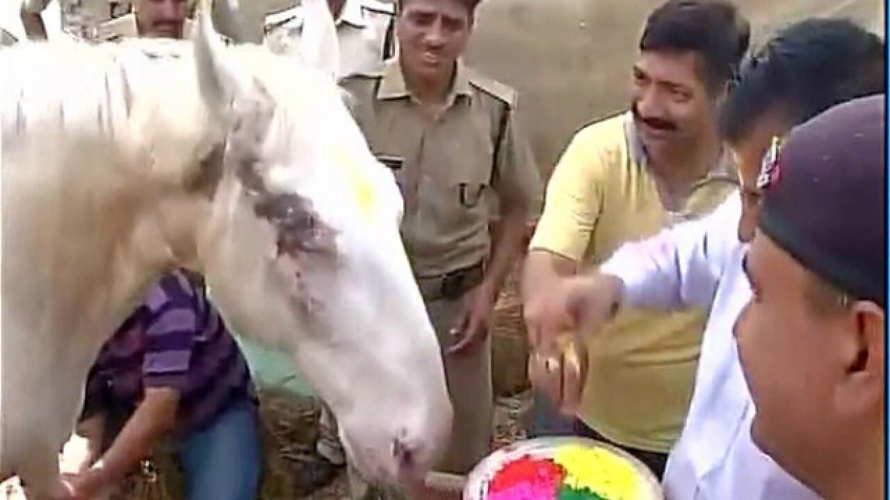 Watch Cops playing Holi with injured police horse Shaktiman