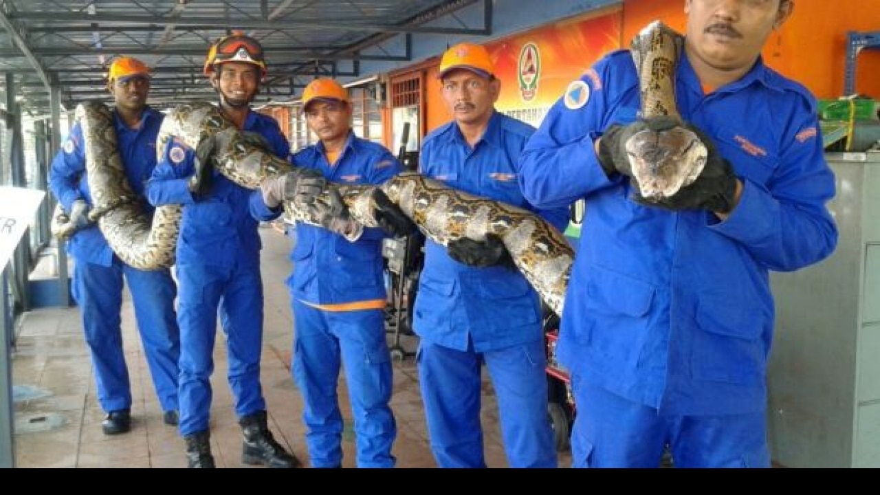 Malaysia Civil Defence Force  Bustling As Usual At Chow Kit Market