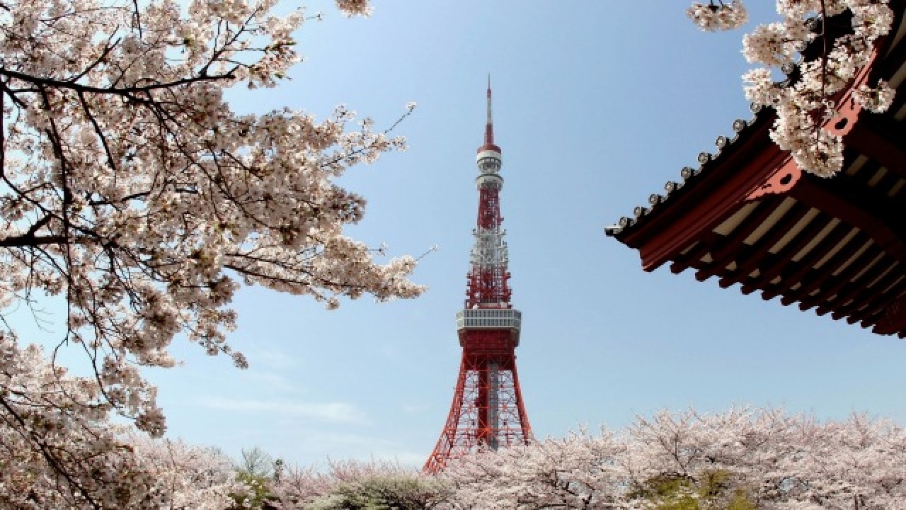 A view of the Tokyo Tower