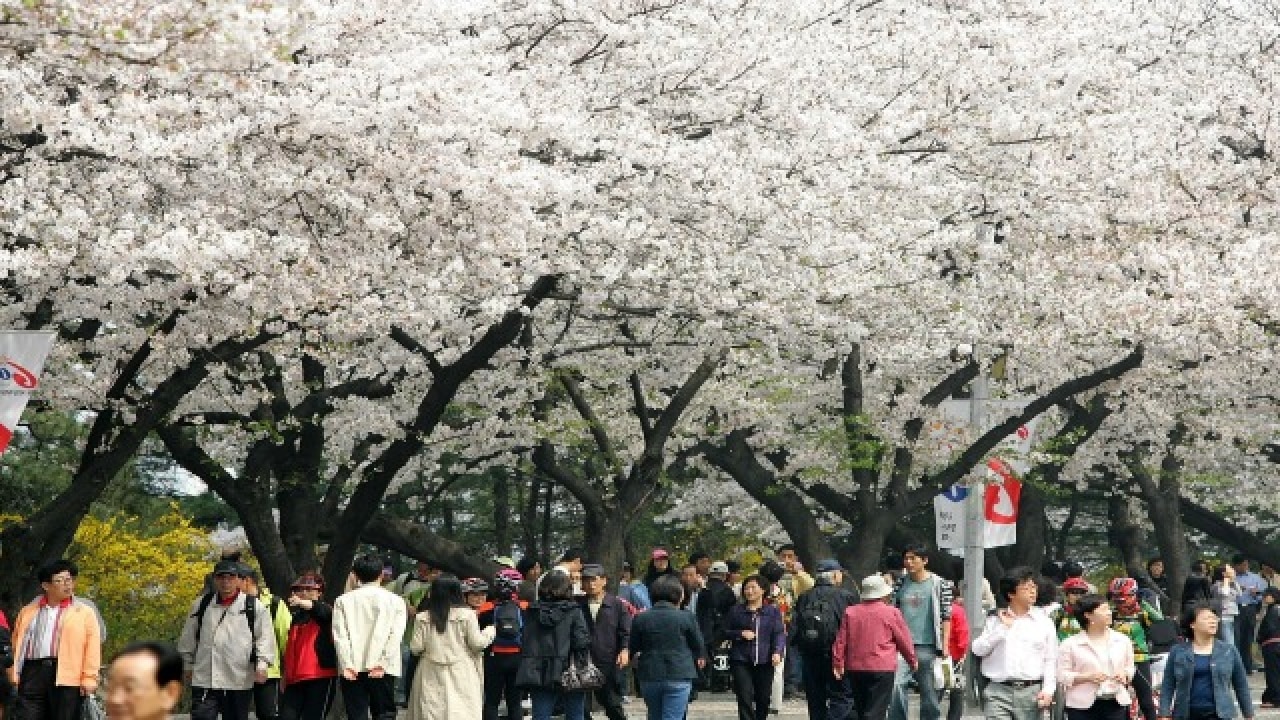 Near national assembly, Seoul