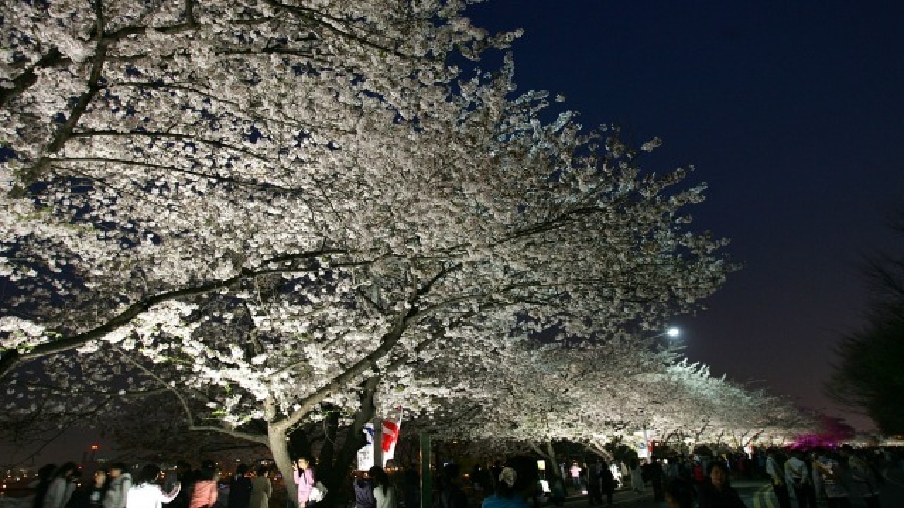 Seoul at night