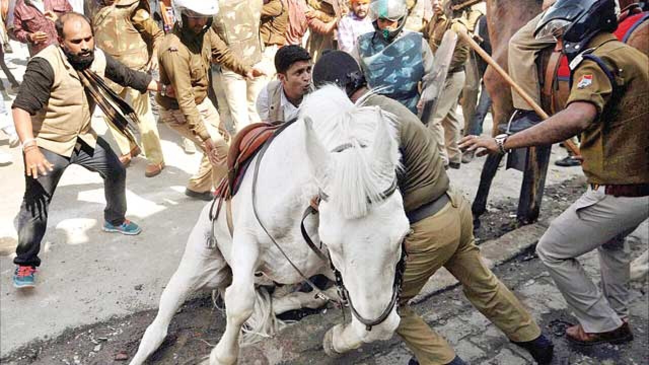 Police horse 'Shaktiman' injured during BJP protest in Uttarakhand, dies