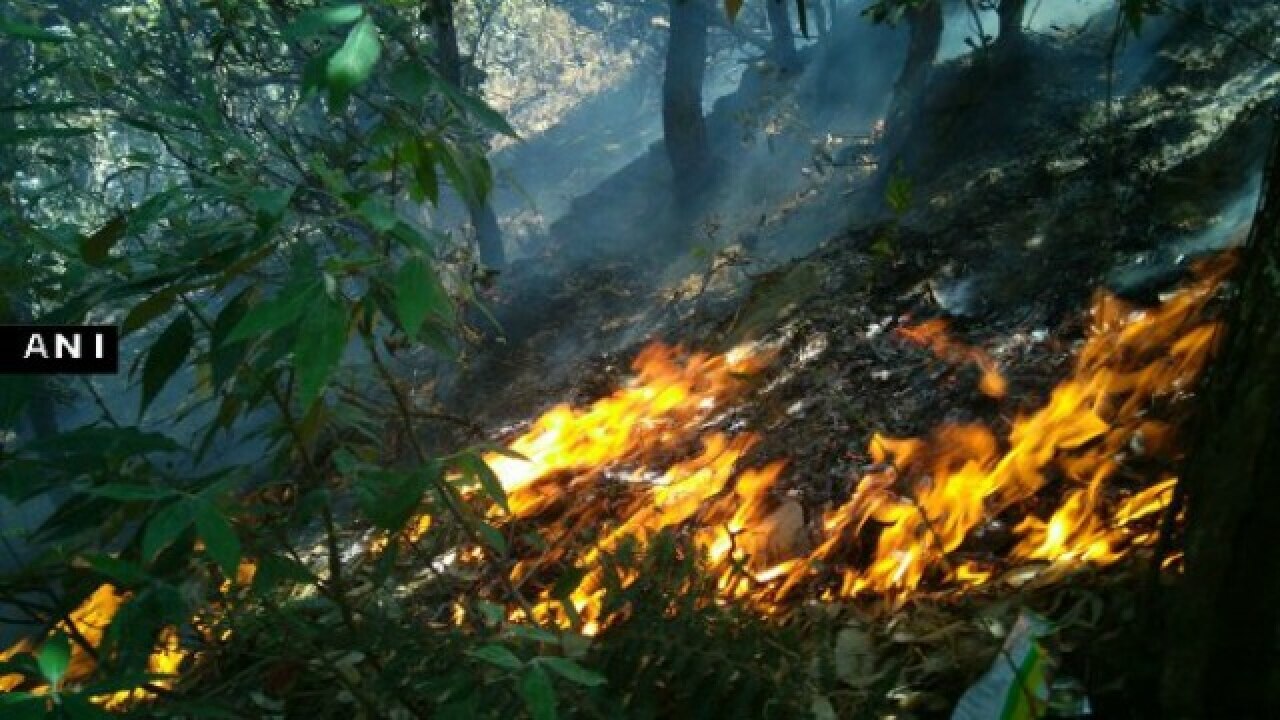 Uttarakhand Forest Fire: 3 IAF Chopper, 6100 Personnel Deployed To ...