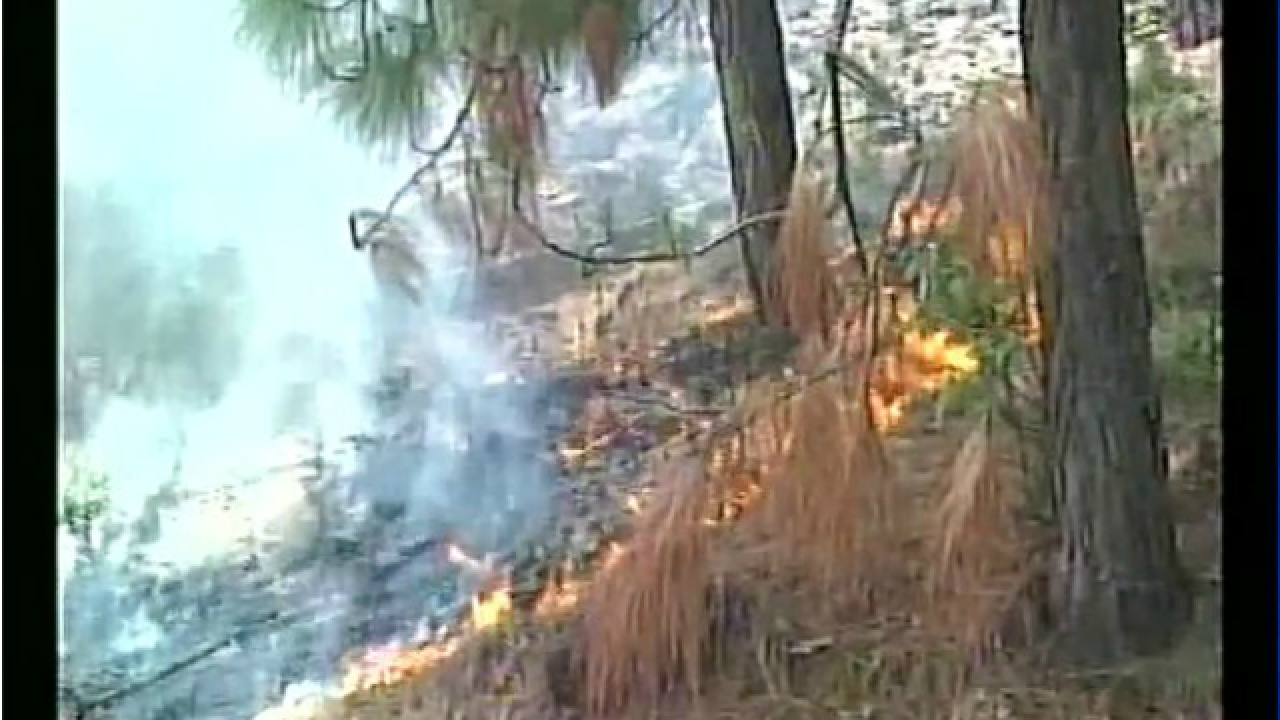 After Uttarakhand, Forest Fire Now Rages In Jammu And Kashmir