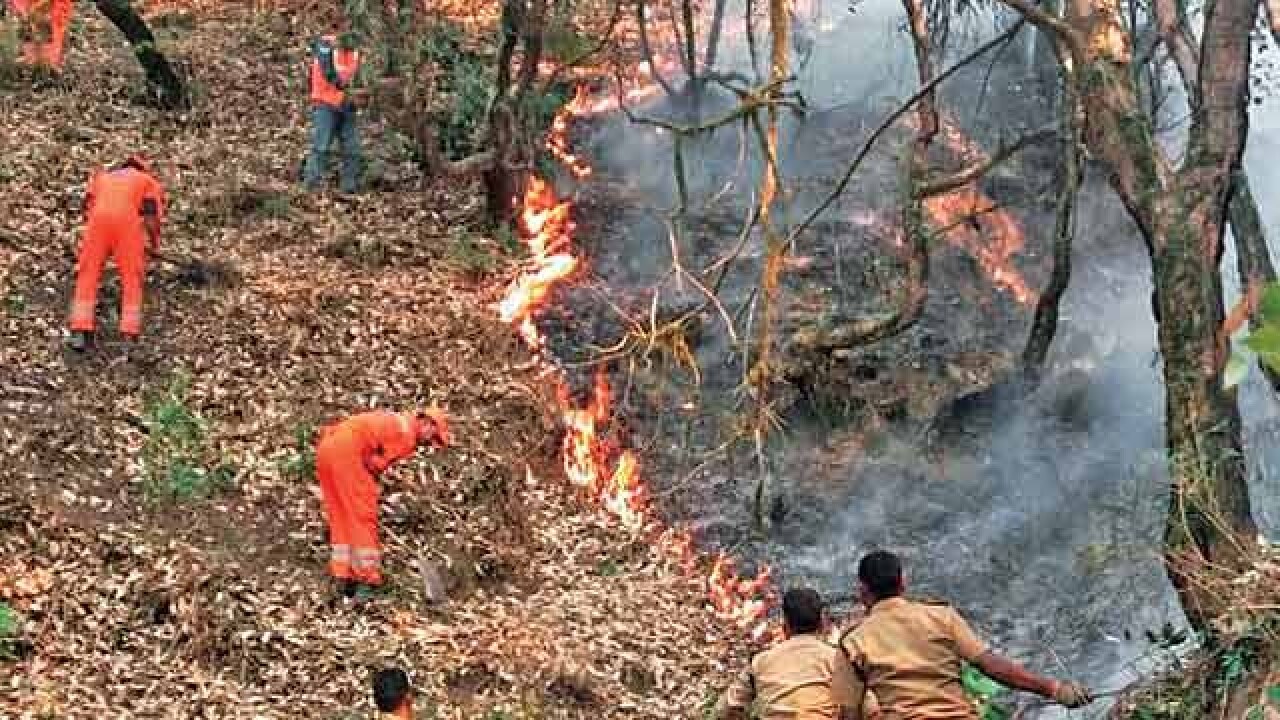 Uttarakhand 10 000 Men Three Iaf Choppers Engaged In Dousing Fires