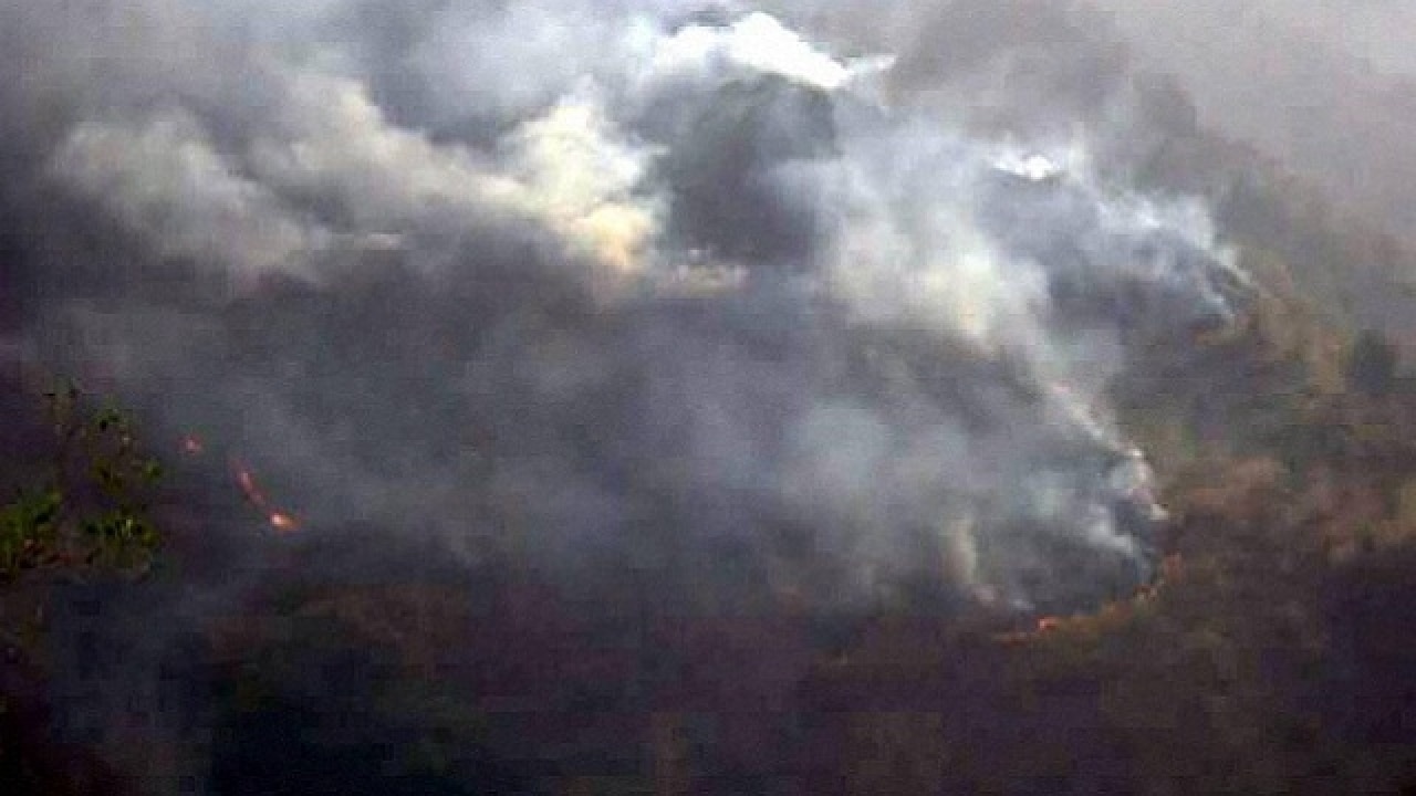 Uttarakhand Experts say raging forest fires could cause glaciers to