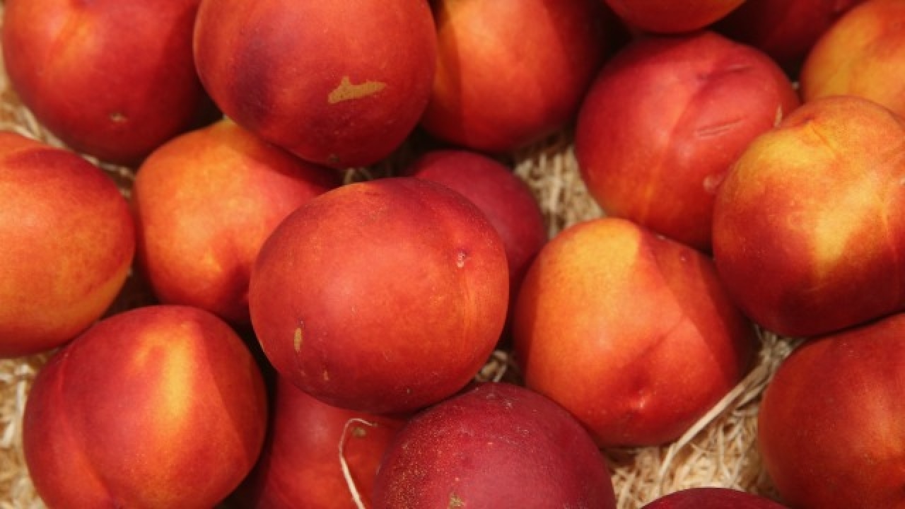 In Pictures 7 fruits that can help you lose weight