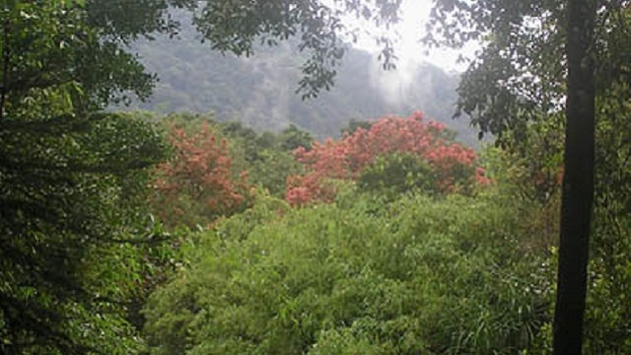 Get Wallpaper A Peek Into India S First Private Wildlife Sanctuary Desktop Wallpaper Free