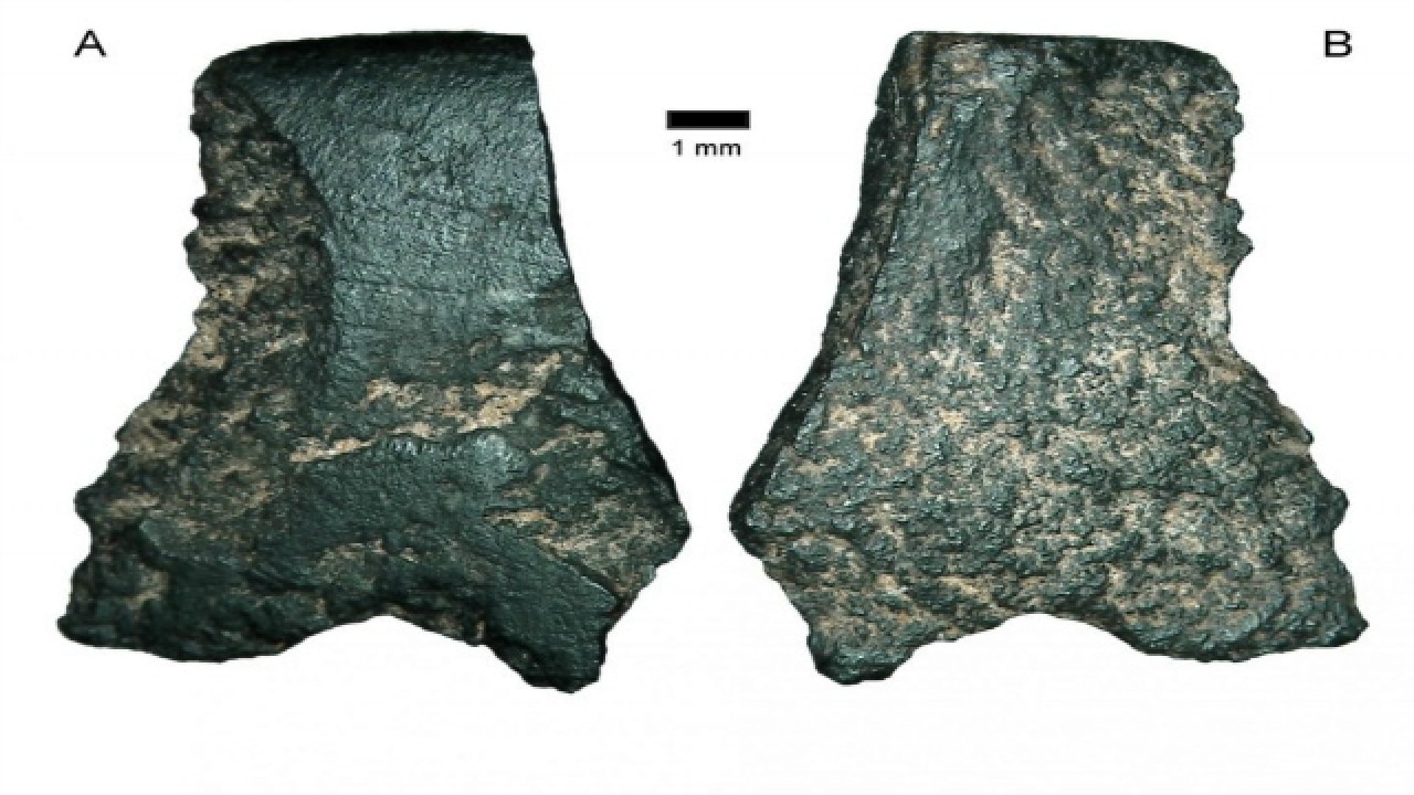 Oldest known axe discovered in Australia