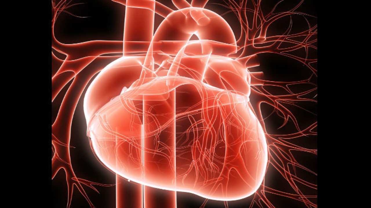 3D virtual heart to predict sudden cardiac death risk